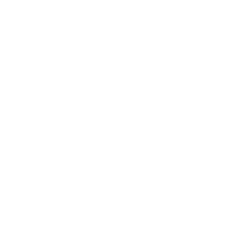 logo net-investissement blanc